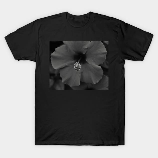 Black and White flower T-Shirt by RobertsArt